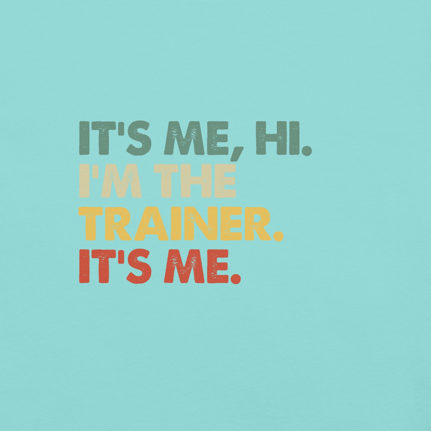 It's Me, Hi - Trainer