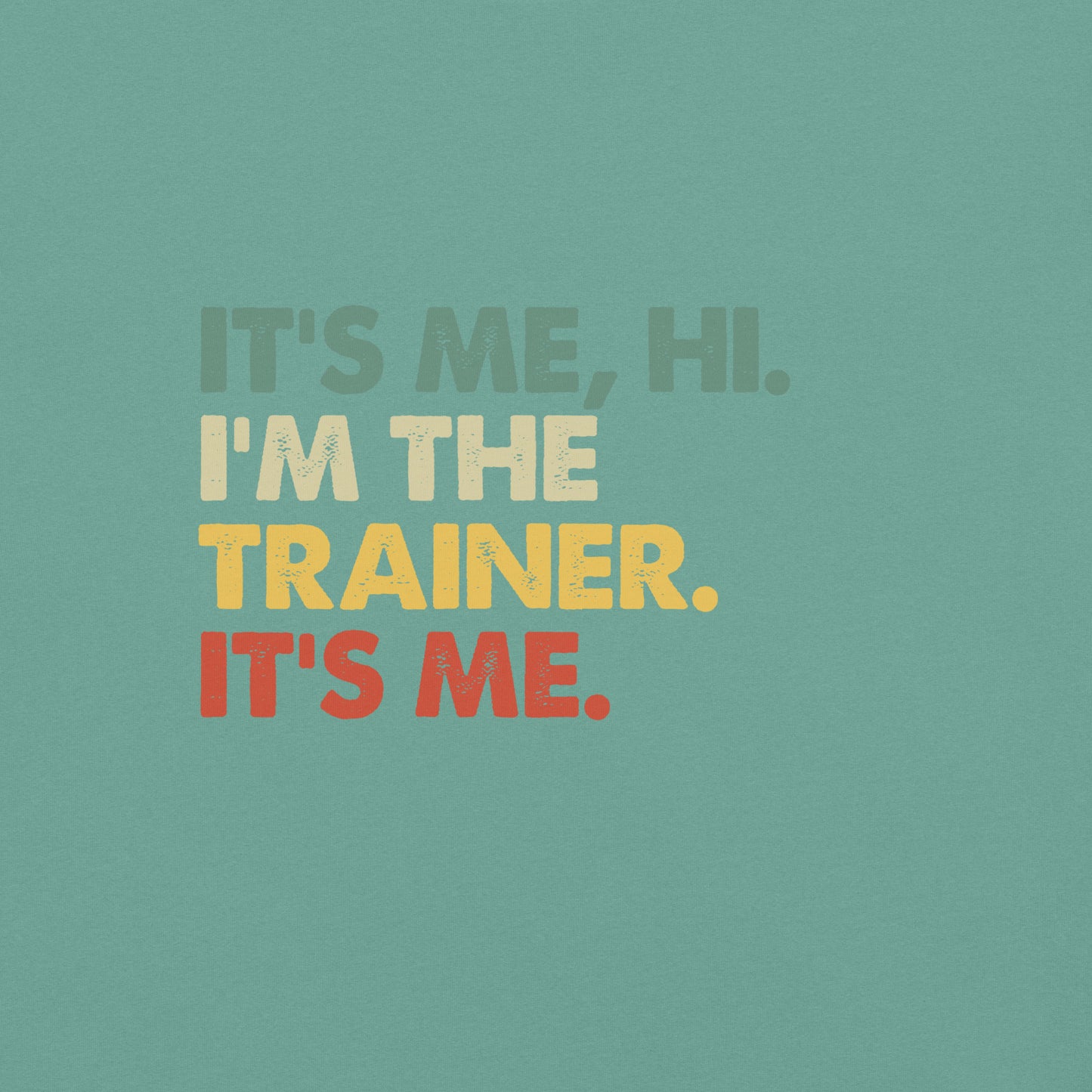 It's Me, Hi - Trainer